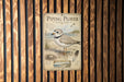 a poster of a piping plover bird, which is a type of shorebird, displayed on a wooden wall.
