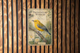 a poster of a yellow bird perched on a branch, surrounded by various plants and flowers, mounted on a wooden wall.