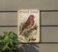 a vintage-style metal sign with a detailed illustration of a purple finch perched on a pine branch, surrounded by pine cones and berries.