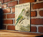 a vintage-style illustration of a Quaker Parrot, a type of parrot, perched on a branch and sitting on a nest. The illustration includes detailed illustrations of the bird's features, such as its vibrant green and blue plumage, and the nest it is sitting on. The image is set against a brick wall, and there is a wooden table in the foreground.