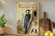 a vintage-style poster or book titled "Red-Cocked Woodpecker" with illustrations of the bird and its natural habitat, including pine trees and pine cones.
