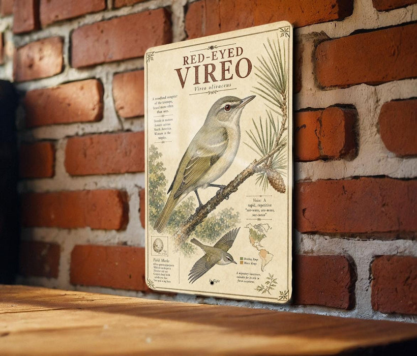 a vintage-style informational sign about the Red-eyed Vireo, a bird species, mounted on a brick wall.