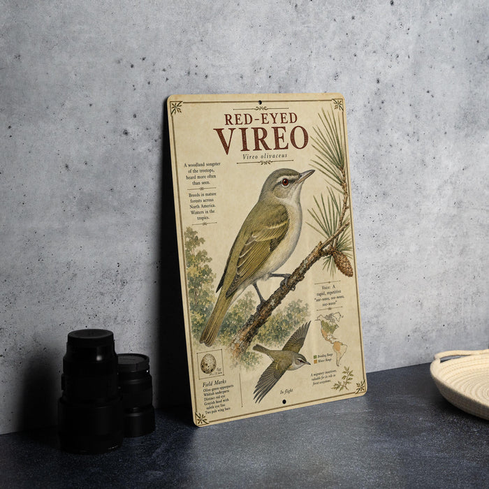 a vintage-style metal sign with illustrations and text, placed on a table next to some black camera lenses.