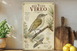 a vintage-style illustration of a red-eyed vireo, a type of bird, on a branch with pine needles. The illustration includes text and a map, providing information about the bird and its natural habitat.