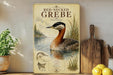 a framed illustration of a red-necked grebe, a type of water bird, swimming in a lake surrounded by tall grass. The grebe is depicted in a detailed manner, with its distinctive black head and orange neck. The image is set against a backdrop of a lake and a forest, creating a serene and natural atmosphere. The grebe is the central focus of the image, with the surrounding elements providing a sense of depth and context.
