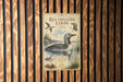 a vintage-style metal plaque with illustrations of birds, specifically a red-throated loon, and text describing the bird species.