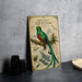 a vintage-style illustration of a colorful bird, specifically a quetzal, perched on a branch.