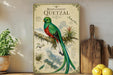 a poster of a quetzal bird, which is a colorful tropical bird, displayed on a wall.