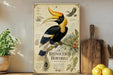 a vintage-style illustration of a hornbill, a large bird with a distinctive long beak, perched on a branch with berries. The illustration is accompanied by text that provides information about the hornbill, including its size, habitat, and diet. The image is displayed on a shelf, with a potted plant, a wooden cutting board, and some fruit visible in the background.