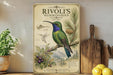a vintage-style poster of a hummingbird, with illustrations of the bird, its habitat, and its diet. The poster is displayed on a shelf next to a wooden cutting board and a potted plant.