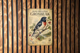 a vintage-style poster of a rose-breasted grouse, which is mounted on a wooden wall.