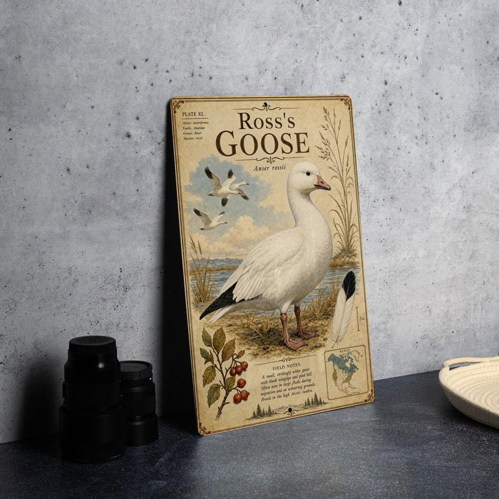 A vintage-style metal plate featuring an illustration of a white goose, with text and decorative elements.