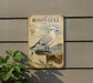 a vintage-style field guide to Ross's Gull, which is mounted on a wall next to a plant.