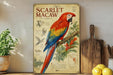 a vintage-style poster of a red and blue parrot, specifically a macaw, perched on a branch. The poster includes illustrations and text that provide information about the bird, such as its size, habitat, and diet. The poster is displayed on a shelf next to a wooden cutting board and a potted plant, creating a rustic and nature-inspired setting.