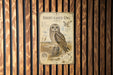 a poster of a short-eared owl, which is mounted on a wooden wall.