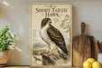 a framed illustration of a short-tailed hawk, a bird of prey, perched on a tree branch. The frame is placed on a wooden surface, surrounded by various kitchen utensils and a potted plant.