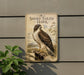 a sign for a "Short-Tailed Hawk" mounted on a wall, with a plant in the foreground.