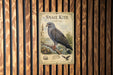 a metal sign with an illustration of a snail kite, which is a type of bird. The sign is mounted on a wooden wall.