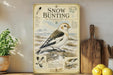 a poster or illustration of a snow bunting bird, with accompanying text and images, displayed on a wall next to a wooden cutting board and some potted plants.