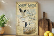 A vintage-style poster of a snow goose in flight, featuring a collage of images of the goose and its surroundings, including a field and mountains.