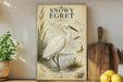 a vintage-style poster of a snowy egret, a large wading bird, displayed on a wall. The poster includes illustrations and text that describe the bird's features and habitat.