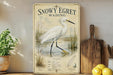 A framed illustration of a snowy egret wading in a marshy area, accompanied by a list of its characteristics and habitat.