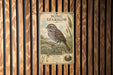 a vintage-style illustration of a sparrow perched on a branch, with a detailed depiction of the bird's features and surroundings.