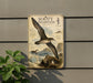 a sign for the Sooty Shearwater, a bird species, mounted on a wall.