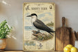 a vintage-style poster of a sea bird, specifically a sea bird called the Sooty Tern, displayed on a shelf next to a wooden cutting board and some potted plants.