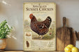 a vintage-style poster or sign about Speckled Sussex chickens, with a detailed illustration of the chicken and text providing information about the breed.