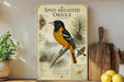 a framed illustration of a black and yellow oriole perched on a pine branch, surrounded by pine cones and pine needles. The illustration is accompanied by a map of the United States and a list of the bird's characteristics, such as its black and yellow plumage, orange breast, and black wings. The image is set against a backdrop of a kitchen counter with various kitchen utensils and a potted plant.