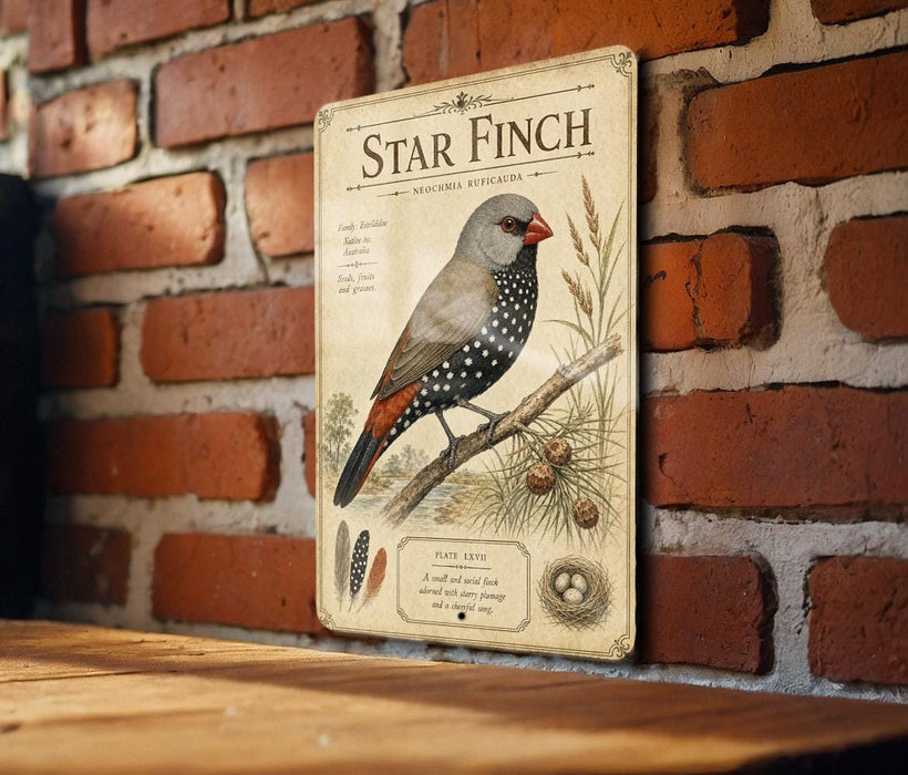 A vintage-style metal sign featuring a detailed illustration of a star finch perched on a branch, with additional text and illustrations related to the bird species.