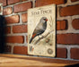 A vintage-style metal sign featuring a detailed illustration of a star finch perched on a branch, with additional text and illustrations related to the bird species.