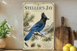 a vintage-style poster of a blue jay perched on a branch, surrounded by pine cones and other natural elements, displayed on a shelf next to a wooden cutting board and a potted plant.
