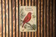 A vintage-style poster of a red cardinal bird perched on a branch, with a pine tree and other natural elements in the background.