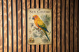 A vintage-style poster of a parrot, specifically a Sun Conure, is displayed on a wooden wall.