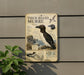 a sign with information about a thick-billed murre, a type of bird, mounted on a wall.