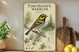 A vintage-style illustration of a yellow-headed bird, likely a warbler, perched on a branch with pine needles, accompanied by text and a map. The image is displayed on a wall, with a wooden cutting board and a potted plant visible in the foreground.