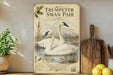 a vintage-style poster of two swans swimming in a pond, surrounded by a natural landscape.