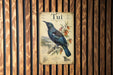 a poster of a blue and green bird, specifically a Tui, perched on a branch with flowers.