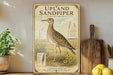 a vintage-style poster of an upland sandpiper, a bird with a distinctive appearance, standing in a field with flowers. The poster is displayed on a shelf next to a wooden cutting board and a potted plant.