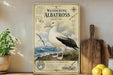 a vintage-style poster of a wandering albatross, a large seabird, standing on a rocky shoreline with a bird in flight in the background. The poster includes text and illustrations related to the albatross, such as its size, habitat, and behavior. The poster is displayed on a shelf next to a wooden cutting board and a potted plant, creating a coastal, nature-inspired setting.