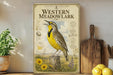 a poster of a Western Meadowlark bird on a shelf, surrounded by various kitchen utensils and a potted plant.