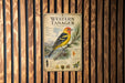 a poster of a Western Tanager, a bird species, mounted on a wooden wall.