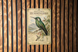 a vintage poster of a hummingbird, mounted on a wooden wall.
