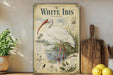 A vintage-style field guide for the White Ibis, featuring illustrations and text about the species.