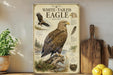 a poster or illustration of a white-tailed eagle, with various details and illustrations of the bird, including its size, habitat, and physical characteristics.