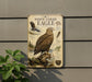 a large white-tailed eagle perched on a tree branch, with a detailed illustration of the bird and its natural habitat.