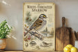 a vintage-style poster or painting of a white-throated sparrow, with illustrations of the bird and its natural habitat, such as pine trees and berries. The poster is displayed on a shelf next to a wooden cutting board and a potted plant.