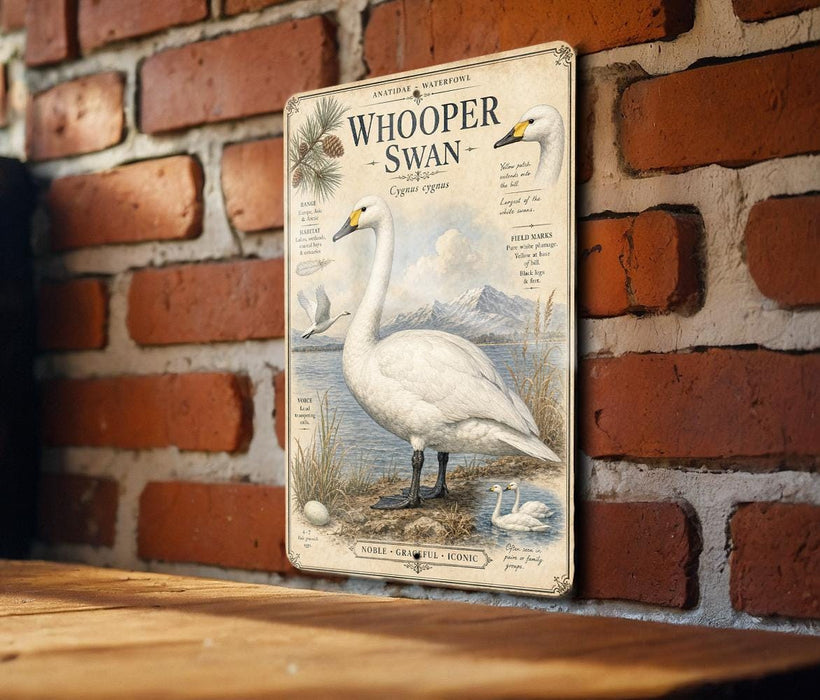 a vintage-style illustration of a swan, mounted on a brick wall.